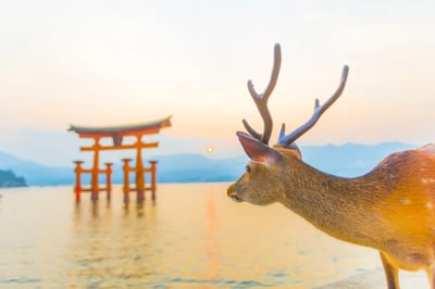 10 Best Places to Visit in Miyajima Island, Hiroshima