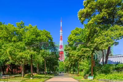 6 Best Things to Do in Tokyo in Summer!