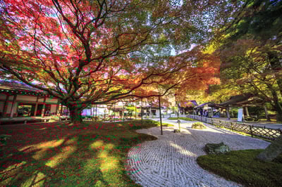 8 Best Things to do in Fukuoka in November