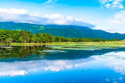 The 7 best things to do in Hokkaido (Sapporo / Otaru / Hakodate / Shiretoko) in September