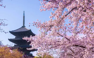 9 Best Things to Do in Kyoto in March