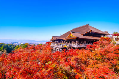 4 Best Things to Do in Kyoto in Autumn