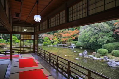 5 Best Things to Do in Fukuoka in Fall
