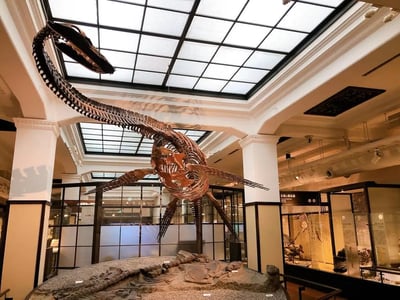 10 Recommended History and Science Museums in Tokyo