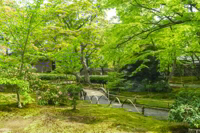 Recommended for sightseeing in Kyoto in May! Introducing the best spots unique to this season!