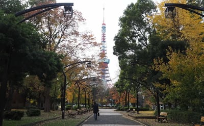 Tokyo in September: Recommended Activities and Spots Unique to the Beginning of Autumn Season