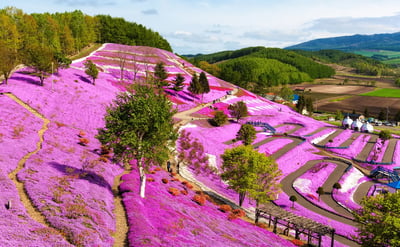 The 7 best things to do in Hokkaido (Sapporo / Hakodate / Kushiro) in May