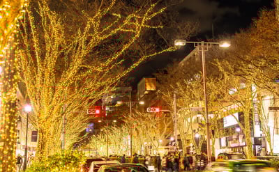 5 things to experience in Tokyo in winter! Discover the best spots to visit during this time of year based on the weather!