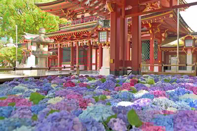 The 30 Best Places to Visit in Fukuoka: A Complete Guide to Fukuoka