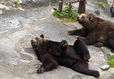 6 Cool Spots to Visit in Hokkaido (Sapporo / Biei / Furano / Noboribetsu)