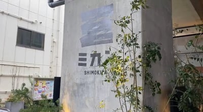 A Day in Shimokitazawa, Tokyo: Exploring the Trendy Spots, Daytime Drinking, Cafes, and Thrift Shopping!