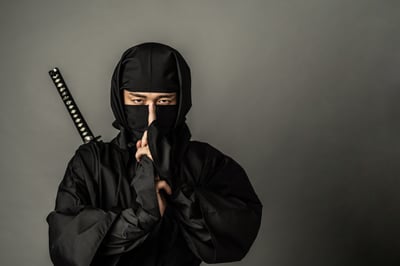About “Ninja”