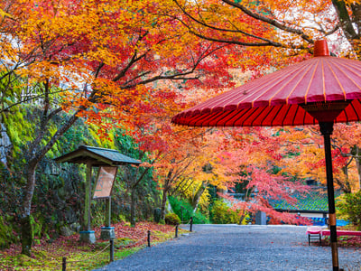 6 Places to Visit in Ohara, kyoto