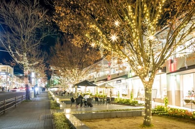 6 Best Things to Do in Aichi (Nagoya) in December
