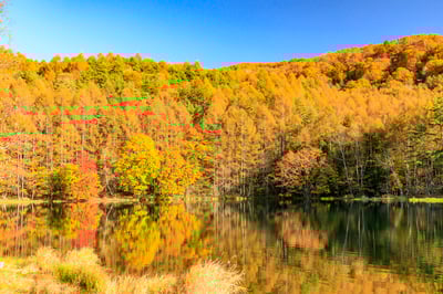 9 things to do in Nagano in October