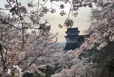 Okayama 2 Day Itinerary: Tour the castle by car! Enjoy history and local gourmet food