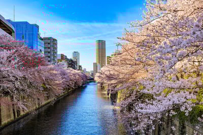 Tokyo: 12 Places to Visit in Ikejiri-Ohashi