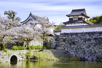 春天福岡旅遊必做的4件事