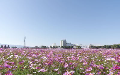 7 Best Things to Do in Fukuoka in October