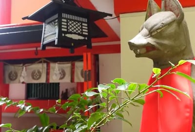 Yamaguchi and Shimane 2 Day Itinerary: Explore Yuda Onsen, Tsuwano, and Hofu with an unlimited train pass