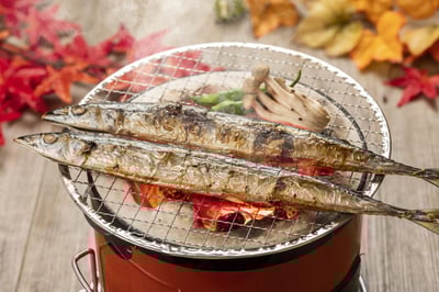 Best 4 things to do in Hokkaido (Sapporo / Hakodate / Noboribetsu) in autumn at 10 spots to feel nature.
