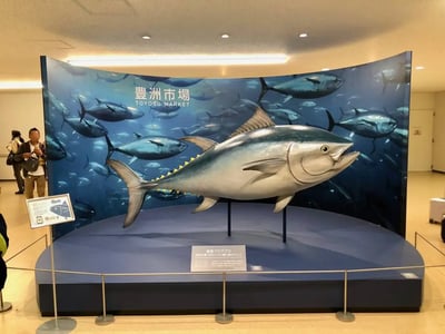 Toyosu Market: Restaurant Recommendations, Tuna Auction, Map Guide, and Opening Hours