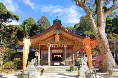 8 Best Things to Do in Fukuoka in January