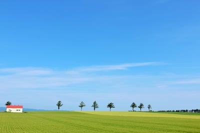 7 photo spots in Hokkaido (Sapporo / Otaru / Hakodate / Biei)