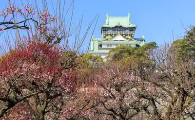 Recommended for sightseeing in Osaka in March! Introducing events and scenery unique to this time of year!
