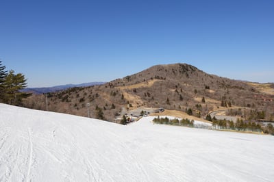 9 things to do in Aichi (Nagoya) in February