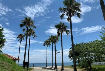 Yamaguchi 2 Day Itinerary: Travel around Iwakuni, Yanai, and Suooshima by car