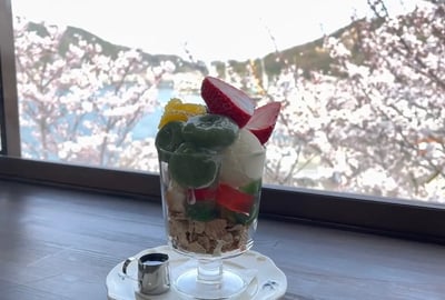 Hiroshima Prefecture] Spring Stroll in Onomichi! A one-day trip to cherry blossom viewing spots and superb gourmet food