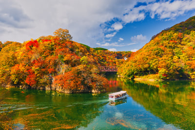 5 Things to Do in Hiroshima in Fall: Weather, Fashion, Fall Foliage, Things to Know Before Your Trip