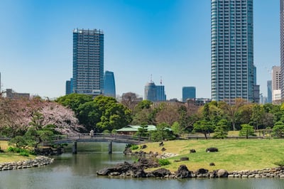 The 6 Best Hidden Gems in Tokyo