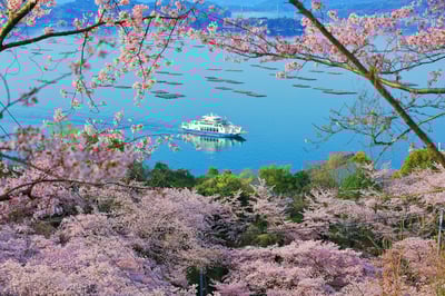 4月廣島的7件最佳活動:櫻花、花園景點和節日活動