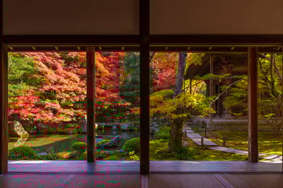 7 Best Things to Do in Kyoto in December
