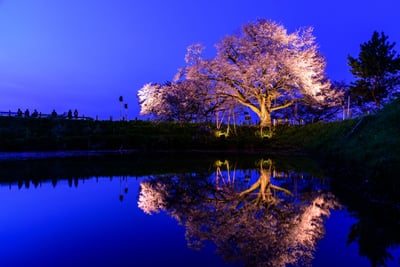8 Best Things to do in Fukuoka in April