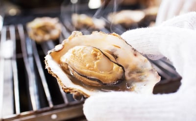 Savoring Hiroshima: A Guide to the Best Oyster Experiences