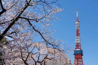 Recommended for sightseeing in Tokyo in March! Introducing events and scenery unique to this time of year!