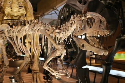 Fukuoka on a Rainy Day: 11 Recommended Indoor Facilities