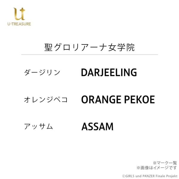 St. Gloriana Ring Character Engravings