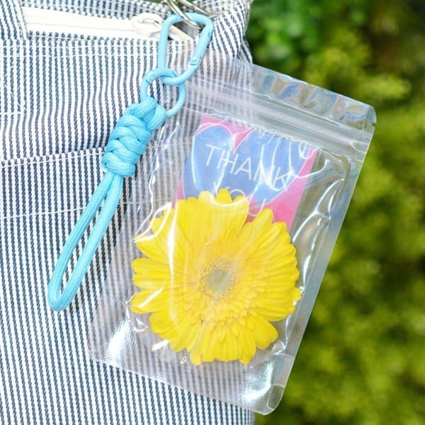 pokehana产品细节