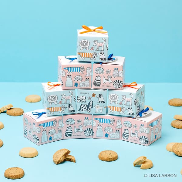 Cookie boxes with sketch cats and dogs