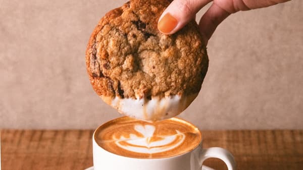 갓 구운 PUG 보스턴 쿠키