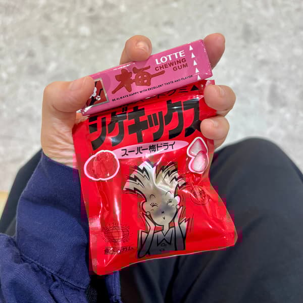 Plum flavor Stick Gum