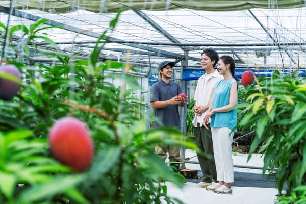 Learning growing secrets from the farmer during peak harvest season