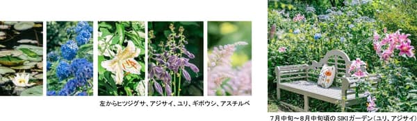 SIKI Garden Summer Season