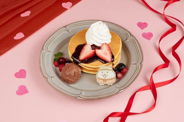 Panqueque de chocolate de gato