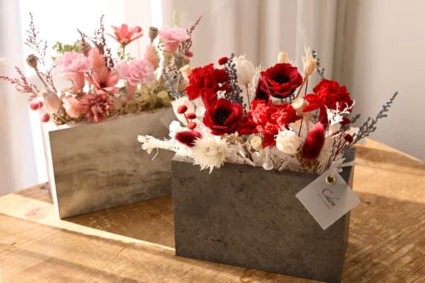 Red / Pink – ¥11,000 (tax included)