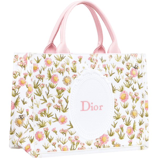 Dior Book Tote Medium